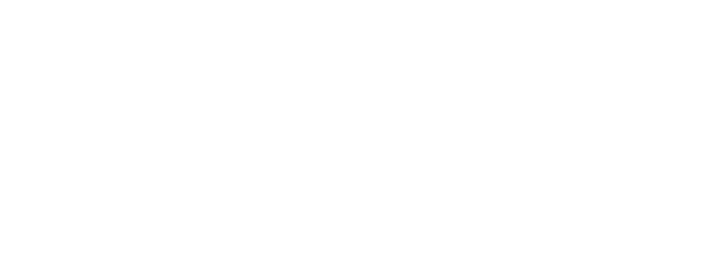 1313