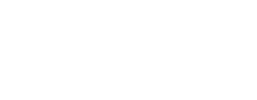 Beautifully lost