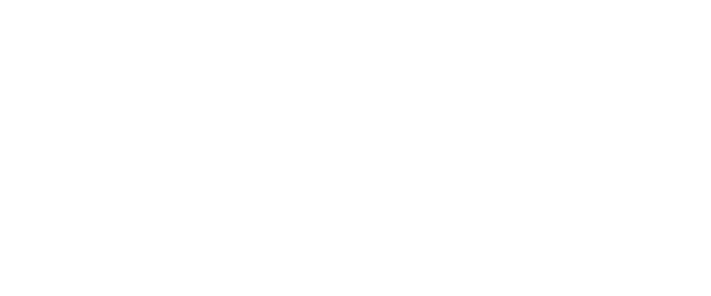 Chaos