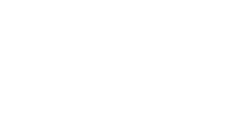 Idiographic