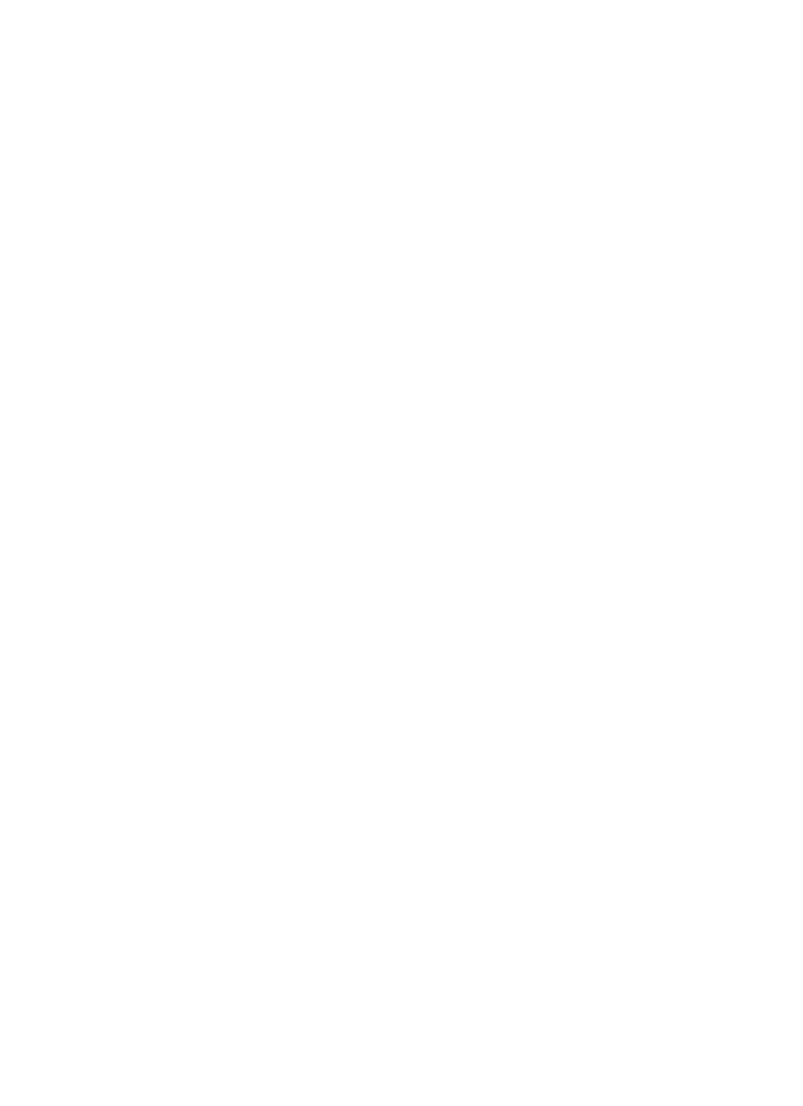 Pancake s p