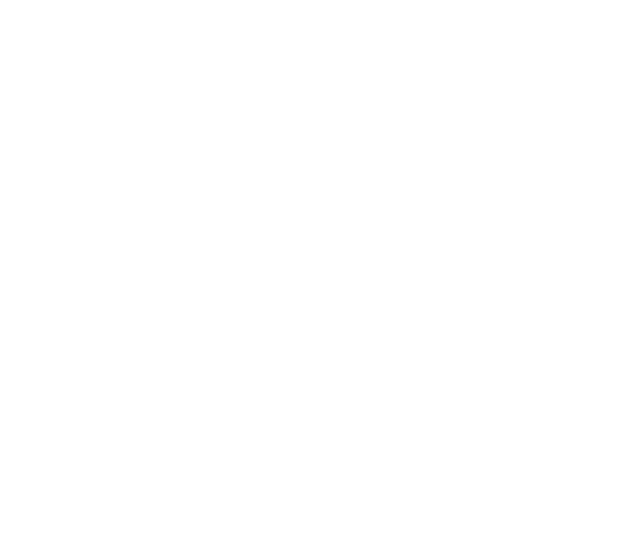 Self quationing