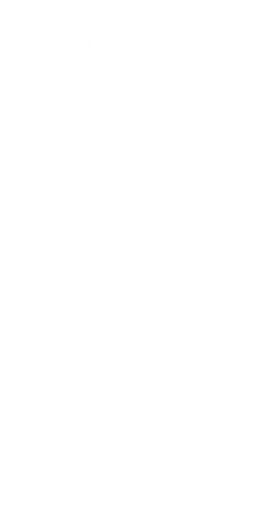 Shines through