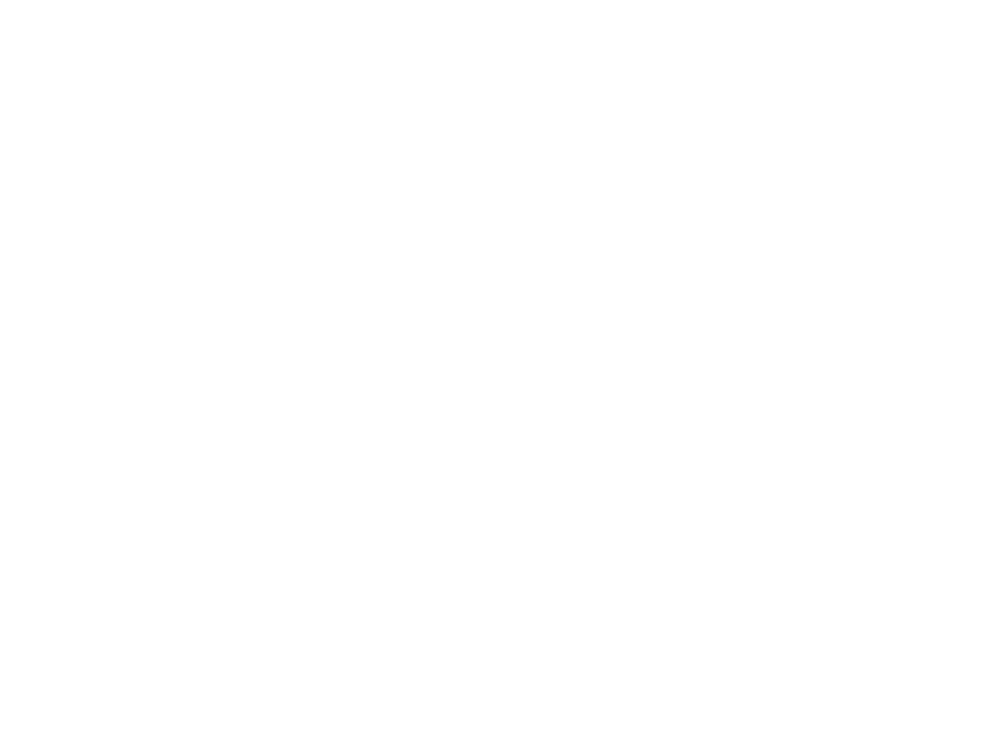Shit show