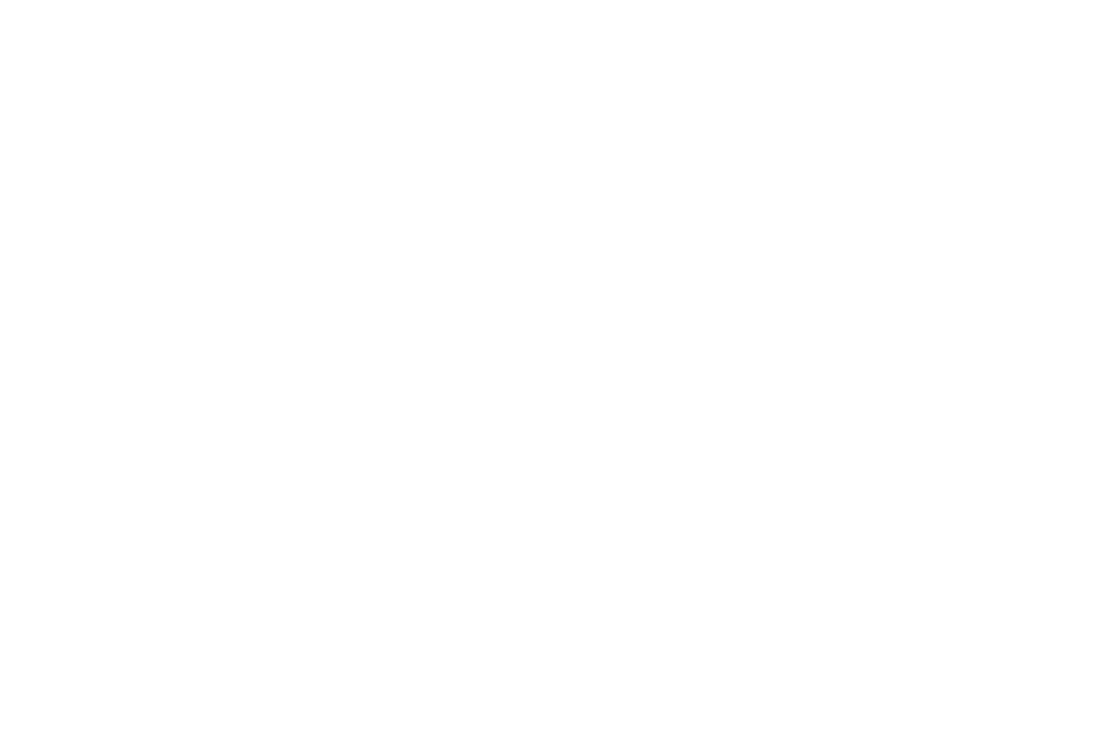 Stay never leave