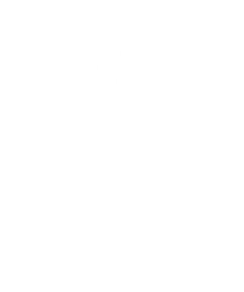 Style