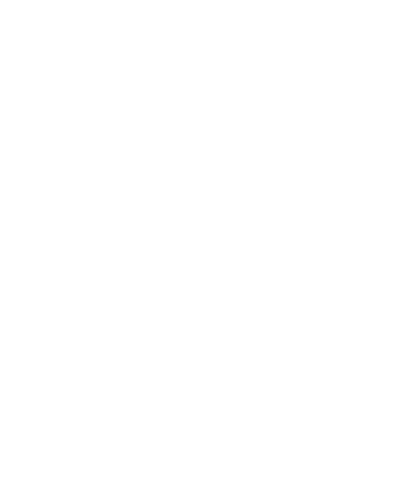 The future