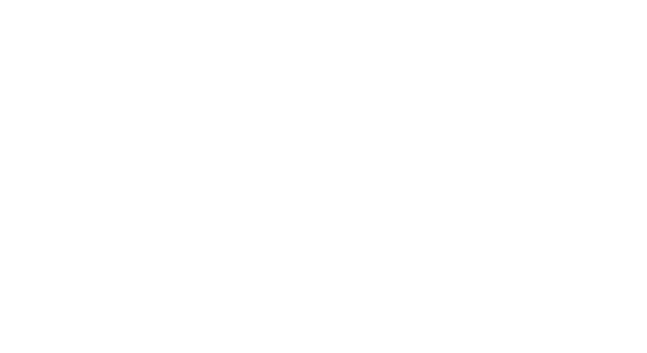 Working memory