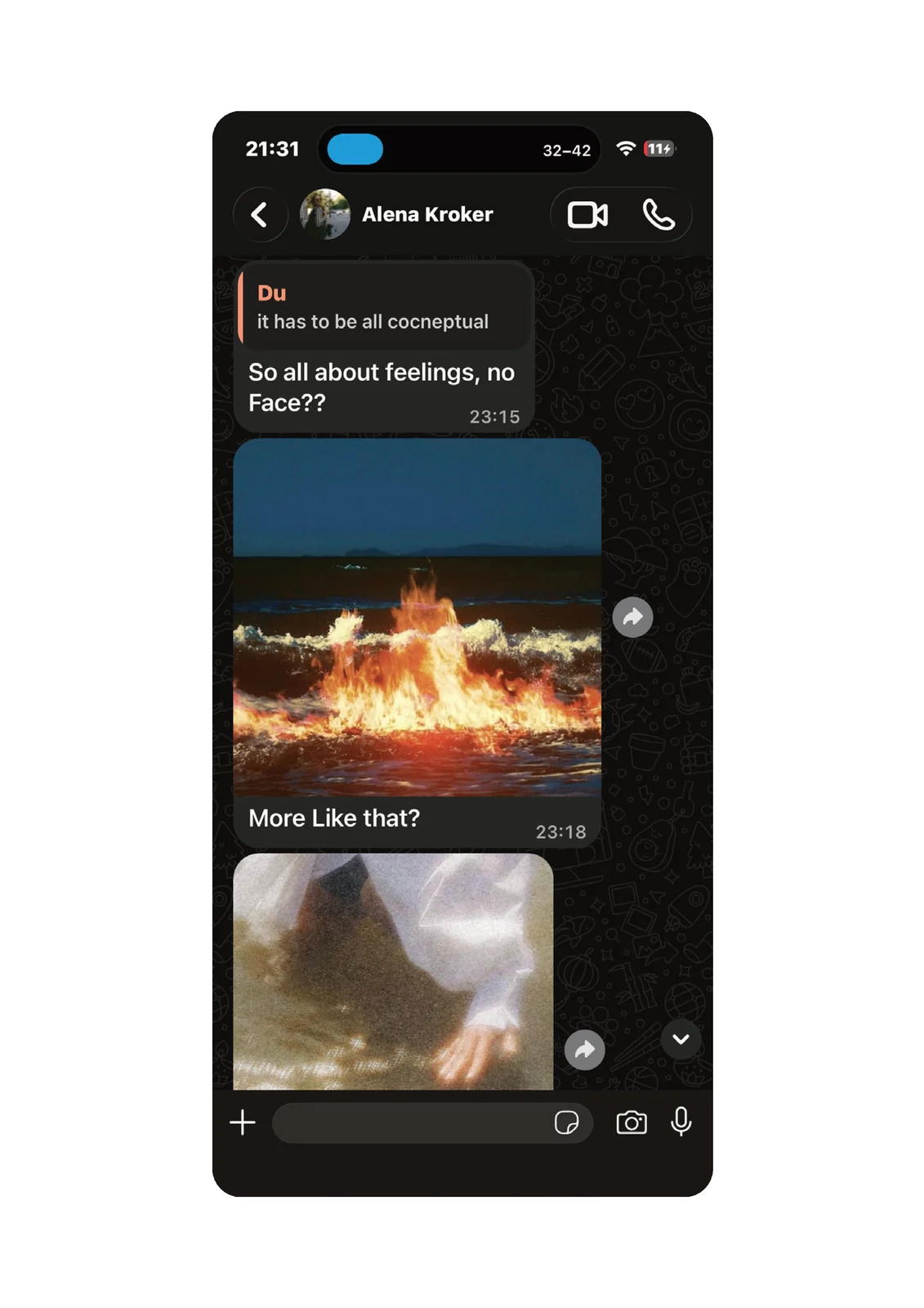 Screenshot of a chat with Alena Kroker